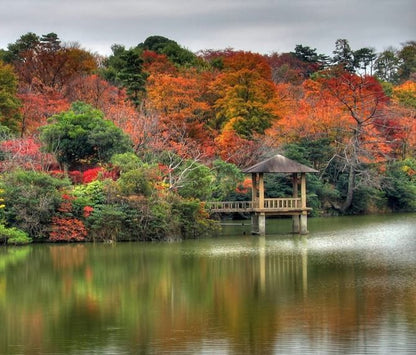 Pink Luggage Case Kids Ride-On Roll Suitcase Luggage Bags Wheeled Trolley Lugg dev3 aff